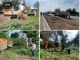 عملیات خاکریزی کاشت درختچه های نارنج یاس هندی فوتونیا پالم و نخل و رفیوژ میانی بلوار در حال احداث